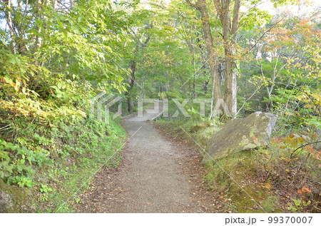 中瀬沼の夕方 99370007