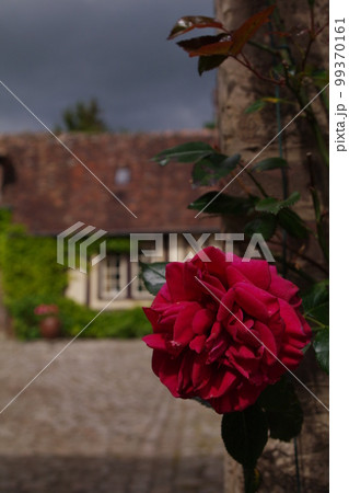 フランスの田舎の町に咲くバラの花 99370161