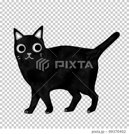 A walking black cat A walking black cat 99370402