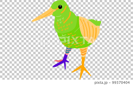 Amamiya woodcock, a creature of the world natural heritage island Amamiya woodcock, a creature of the world natural heritage island 99370404