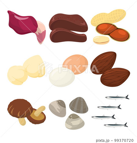 ビタミンB7を含む食品のベクターイラスト。 99370720