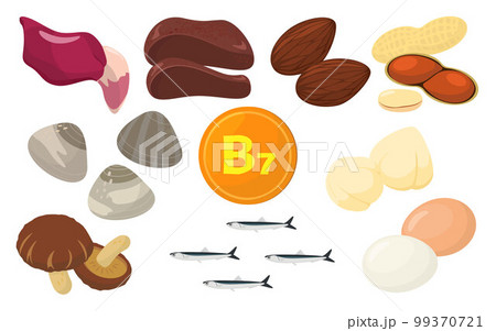 ビタミンB7を含む食品のベクターイラスト。 99370721