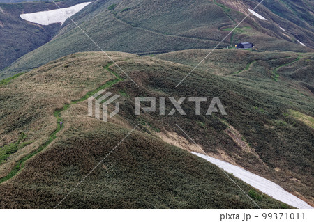初夏の上越国境・蓬峠付近を行く登山者 初夏の上越国境・蓬峠付近を行く登山者 99371011