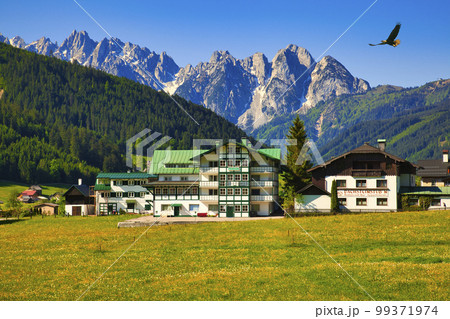 ゴーザウ村の春の美しい情景 99371974