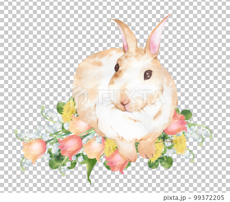 Watercolor painting of a rabbit and a bouquet of tulips 99372205