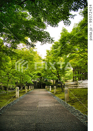 京都 智積院 京都 智積院 99372434