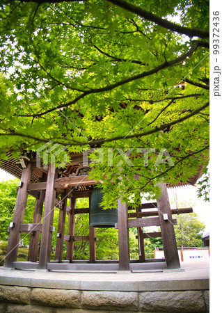 京都　智積院 99372436