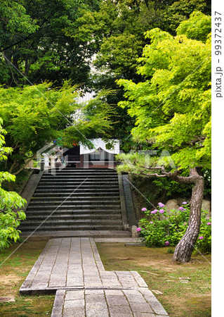 京都　智積院 99372437