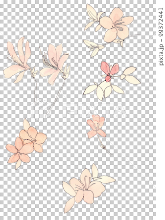 ツツジの花 99372441