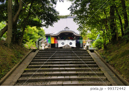 京都　智積院 99372442