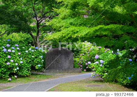 京都　智積院 99372466