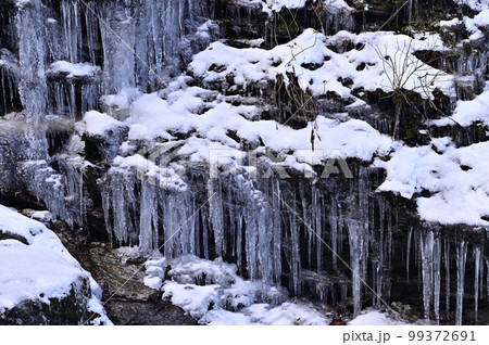 四国愛媛県四国中央市にある皇子渓谷の冬景色 99372691