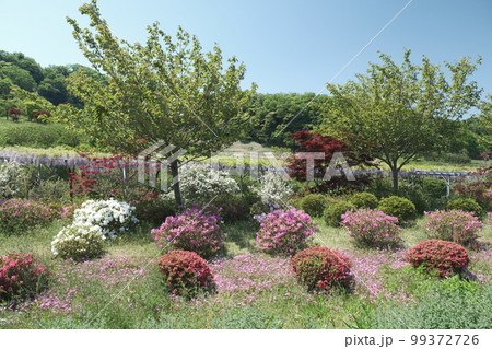 京丹後市にある花郷OKADA 99372726