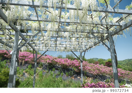 京丹後市にある花郷OKADA 京丹後市にある花郷OKADA 99372734