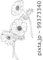 アネモネの花のモノクロ線画 99373340