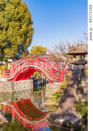 (東京都)亀戸天神社 琴柱燈籠と太鼓橋(女橋) (東京都)亀戸天神社 琴柱燈籠と太鼓橋(女橋) 99373366