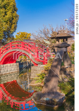 (東京都)亀戸天神社 琴柱燈籠と太鼓橋(女橋) (東京都)亀戸天神社 琴柱燈籠と太鼓橋(女橋) 99373369