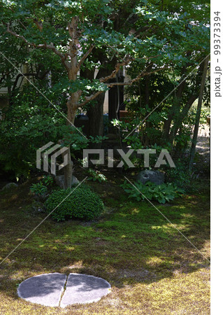 本法寺 巴の庭 京都 本法寺 巴の庭 京都 99373394