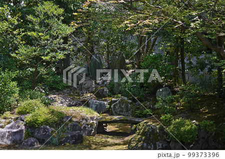 本法寺 巴の庭 京都 本法寺 巴の庭 京都 99373396