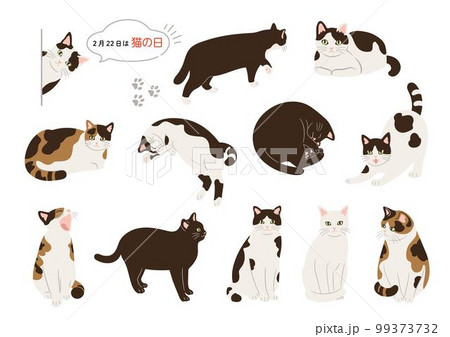 かわいい猫の手描き風イラストセット かわいい猫の手描き風イラストセット 99373732