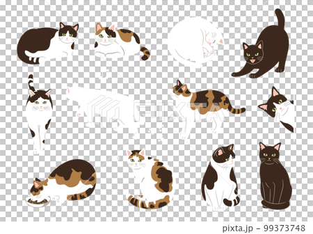 かわいい猫の手描き風イラストセット 99373748