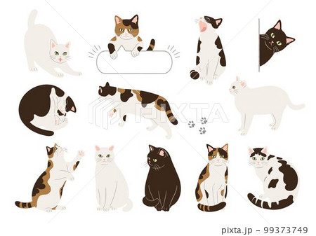 かわいい猫の手描き風イラストセット 99373749