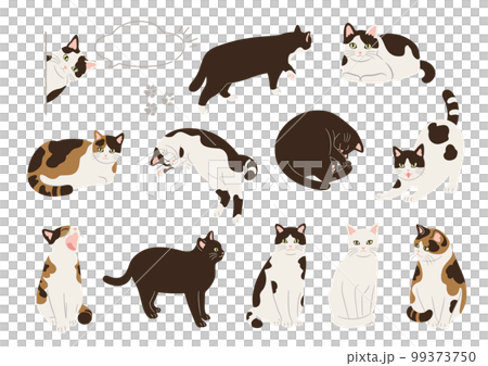 かわいい猫の手描き風イラストセット 99373750