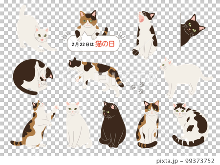 猫のうつわ2個セット「選べる！猫小皿」 中皿 minakawaneko