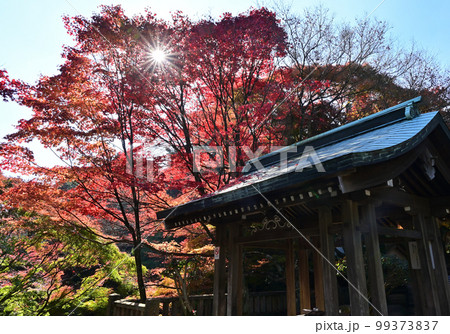 四国香川県高松市にある第82番札所根香寺（ねごろじ）の紅葉 99373837