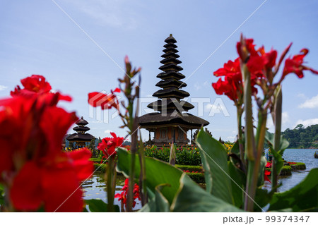 ウルンダヌブラタン寺院と赤い花(インドネシア・バリ島) ウルンダヌブラタン寺院と赤い花(インドネシア・バリ島) 99374347