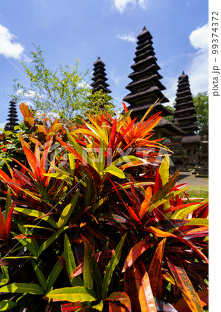 世界遺産タマンアユン寺院の熱帯植物と多重塔メル(インドネシア・バリ島) 世界遺産タマンアユン寺院の熱帯植物と多重塔メル(インドネシア・バリ島) 99374372