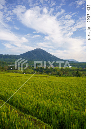 ジャティルイ棚田と山の景色（インドネシア・バリ島） 99374432