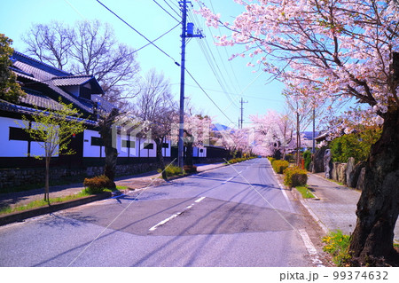 秩父長瀞 桜並木 秩父長瀞 桜並木 99374632