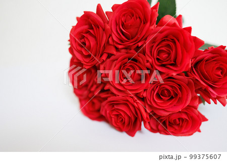 薔薇の花束　背景白 99375607