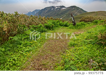 上越国境稜線・蓬峠付近から見る谷川連峰 99375778