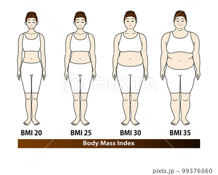 若い女性のBMI指数による体型の変化 ボディマスインデックス イラスト ベクター 99376860