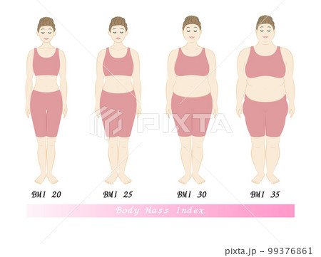 若い女性のBMI指数による体型の変化 ボディマスインデックス イラスト ベクター 若い女性のBMI指数による体型の変化 ボディマスインデックス イラスト ベクター 99376861