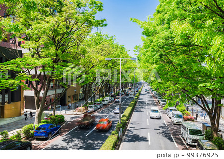 東京　新緑の表参道 99376925
