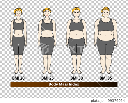 Change in body shape by BMI index of young women Body mass index illustration vector 99376934