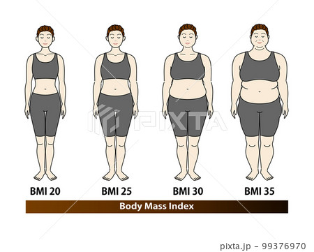 中高年女性のBMI指数による体型の変化 ボディマスインデックス イラスト ベクター 99376970
