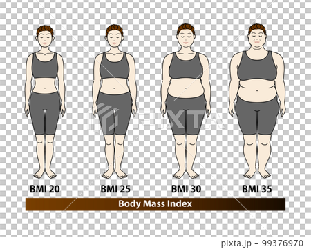 中高年女性のBMI指数による体型の変化 ボディマスインデックス イラスト ベクター 99376970
