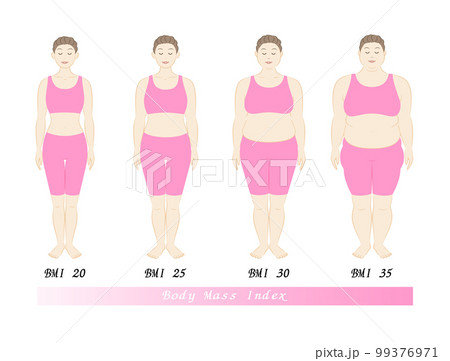 中高年女性のBMI指数による体型の変化 ボディマスインデックス イラスト ベクター 99376971