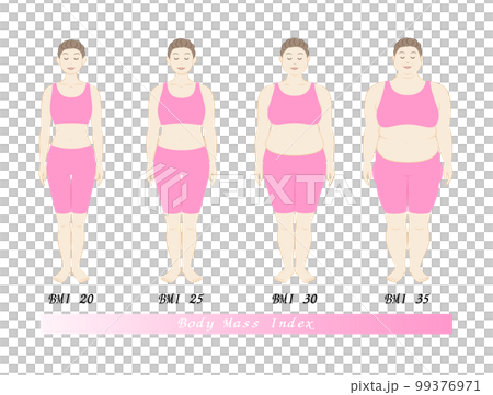中高年女性のBMI指数による体型の変化 ボディマスインデックス イラスト ベクター 99376971
