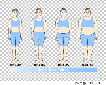 ボディマスインデックス 中高年女性の体形変化 ダイエットのビフォーアフター イラスト ベクター 99376972