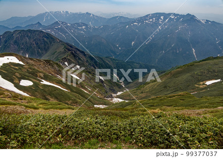初夏の谷川連峰・茂倉岳稜線から見る朝日岳・巻機山 99377037