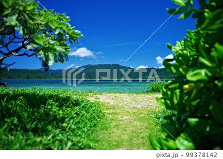 沖縄県小浜島細崎海岸へ続く道 沖縄県小浜島細崎海岸へ続く道 99378142