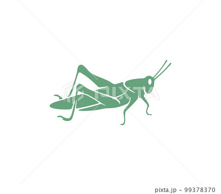Grasshopper, locust, insect, nature, animal and pests, silhouette and graphic design. Wildlife, fauna, bug, vermin, orthoptera and arthropoda, vector design and illustration Grasshopper, locust, insect, nature, animal and pests, silhouette and graphic design. Wildlife, fauna, bug, vermin, orthoptera and arthropoda, vector design and illustration 99378370