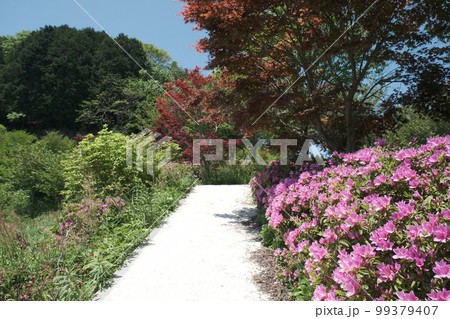 京丹後市にある花郷OKADA 99379407