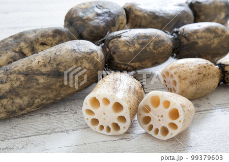 蓮根、佐賀産泥付き蓮根 99379603