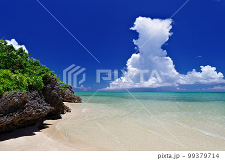 沖縄県小浜島コーラルビーチ 99379714